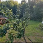 Mueritz Nationalpark - Wohnmobilstellplatz In Der Mecklenburgischen Seenplatte Strom & Wasser Vor Ort Kemping Carpin