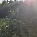 Mueritz Nationalpark - Wohnmobilstellplatz In Der Mecklenburgischen Seenplatte Strom & Wasser Vor Ort Carpin