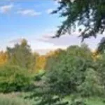 Mueritz Nationalpark - Wohnmobilstellplatz In Der Mecklenburgischen Seenplatte Strom & Wasser Vor Ort *