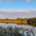 Mueritz Nationalpark - Wohnmobilstellplatz In Der Mecklenburgischen Seenplatte Strom & Wasser Vor Ort * Carpin