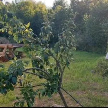 Mueritz Nationalpark - Wohnmobilstellplatz In Der Mecklenburgischen Seenplatte Strom & Wasser Vor Ort Campingplads Carpin