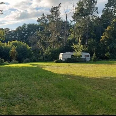 Campingplads Mueritz Nationalpark - Wohnmobilstellplatz In Der Mecklenburgischen Seenplatte Strom & Wasser Vor Ort Carpin