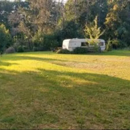 Mueritz Nationalpark - Wohnmobilstellplatz In Der Mecklenburgischen Seenplatte Strom & Wasser Vor Ort Carpin