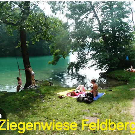 Mueritz Nationalpark - Wohnmobilstellplatz In Der Mecklenburgischen Seenplatte Strom & Wasser Vor Ort *