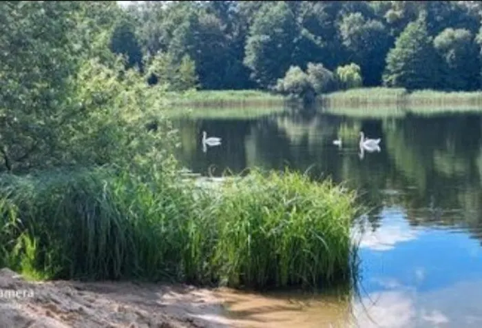Mueritz Nationalpark - Wohnmobilstellplatz In Der Mecklenburgischen Seenplatte Strom & Wasser Vor Ort
