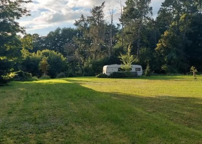 营地 Mueritz Nationalpark - Wohnmobilstellplatz In Der Mecklenburgischen Seenplatte Strom & Wasser Vor Ort Carpin