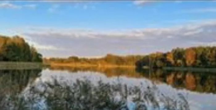 Mueritz Nationalpark - Wohnmobilstellplatz In Der Mecklenburgischen Seenplatte Strom & Wasser Vor Ort * Carpin