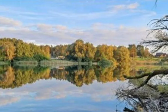 Mueritz Nationalpark - Wohnmobilstellplatz In Der Mecklenburgischen Seenplatte Strom & Wasser Vor Ort 营地 Carpin